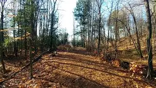 Free green screen background Trail video HD