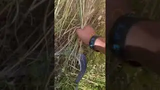 YouTuber life stuck in grass fields 😢💔💔#save me #viral