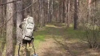 Прогулка в весеннем лесу (больше прогулка чем коп)