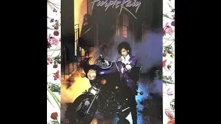 Purple Rain johnnyrockitstyle
