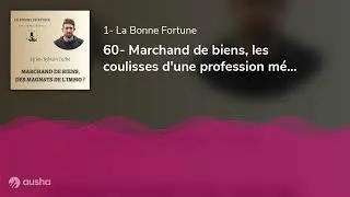 60- Marchand de biens, les coulisses d'une profession méconnue - Sylvain Turbé - LeBonFlip