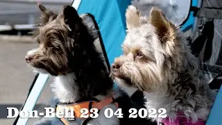 Lundåkrahamnen Landskrona 23 04 22