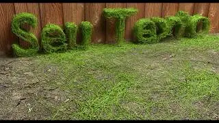 Blender 2.78 Tutorial Vinheta Animada com Texto de Trepadeira com o Add-On Ivy-Gen