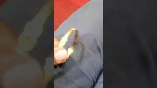 jewellery CNC machine bangles designs// fancy CNC bangles designs