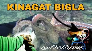 HALOS HINDI AKO MAKA GALAW ANG LAKAS NG NILALANG NA ETO!!