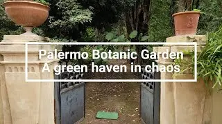 Sicilian Gardens | Palermo Botanical Garden - Green haven & Carl von Linné