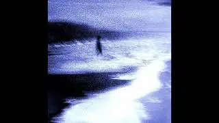 dun - want you