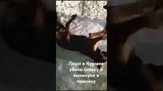 недетская жестокость.  видео не для слабонервных.