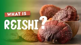 The Incredible Benefits of Reishi Mushrooms