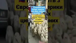 🇷🇺expelled from Europe, America & other civilized countries!🤣/🇷🇺 виганяють з Європи, Америки та🌏! 🤣