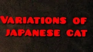 40 seconds of japanese cat variations