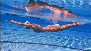 Body action drill - butterfly stroke