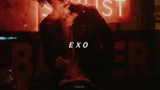 EXO - Damage (Sub Español)