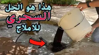 هل فعلاً الهيوميك اسيد مادة سحرية للنبات ؟ || افضل مادة لتقليل الاملاح