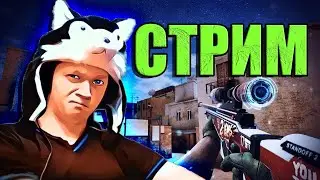 БЕСПЛАТНЫЕ ДУЭЛИ 1х1🔥 НАБОР В КЛАН!🔥 Standoff 2 СТРИМ 🔥 РАЗДАЧА ГОЛДЫ