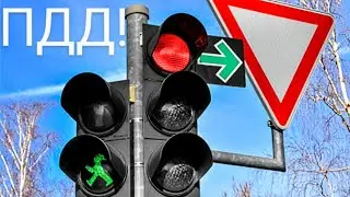 TRAFFIC LIGHTS IN GERMANY! What you need to know! Traffic rules.