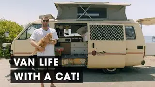 Vanlife with a Cat in an Old 1985 Toyota Hiace Campervan (Van Tour)