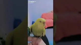когда знаешь, какой женщиной надо быть!