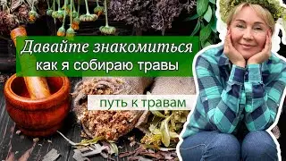 Давайте познакомимся: рассказываю о себе