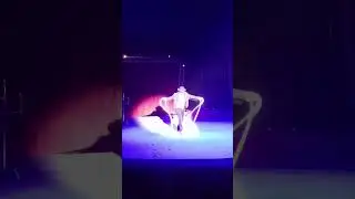 Circus "Vivat". Cowboy