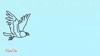Bird Animation