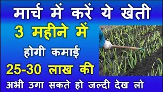 मार्च में करें ये खेती 3 महीने में होगी कमाई 25-30 लाख की |March Vegetables Farming | March ki kheti