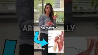 Are you struggling with shoulder pain?