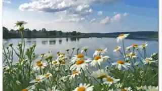 Помните о своих  родителей