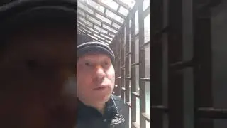 26 марта 2022 г.