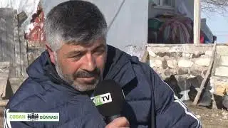 SİVAS KANGALDA KÜÇÜKBAŞ HAYVAN YETİŞTİRİCİLİĞİ | ÇOBANIN YOLU