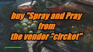 fallout 4: Rare Weapons Guide