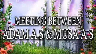 Meeting And Conversation Between Musa AS And Adam AS | Musa AS Aur Adam AS Ki Mulaqaat Barzakh May.