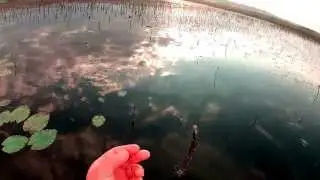 Ловля щуки на жерлицы ч.1