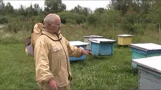 ЧТО НУЖНО ДЕЛАТЬ ЧТОБЫ ПОЛУЧИТЬ МЁД НА ГЛАВНОМ МЕДОСБОРЕ