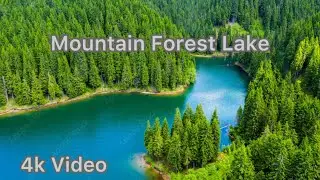 Amazing Mountain Forest Scenery | Beautiful Sunshine Driving View | Naturalist