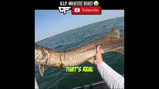 Huge Musky Found Floating 😔