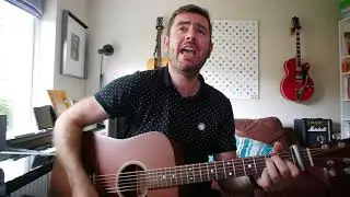 Learn To Fly by Foo Fighters - acoustic cover
