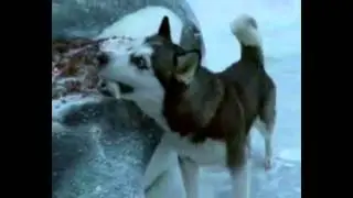 Клип к фильму 