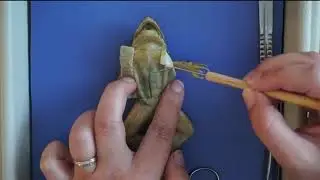 Frog Dissection