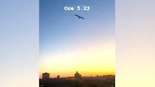 MARA VENIER CASINO GABBIANI DI PRIMO MATTINO