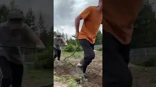 Окучивают картофель