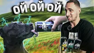 Напоил собаку ЭНЕРГЕТИКОМ, ОТ ЛИТВИНА LIT ENERGY!! МНЕНИЕ О НАПИТКЕ, КАКИЕ ПОСЛЕДСТВИЯ?