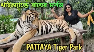 Pattaya Tiger Park |Thailand |Tiger Park Thailand ticket price |Complete details|pattaya tour guide 