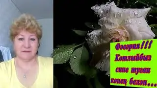 Фәвәрия !Туган көнең белән сине.....