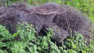 выехал на новое место когда-то тут стояли дома