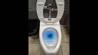 ATTENTION ALL JANITORS