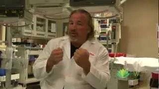 Just What the Doctor Ordered with Dr. Mike show teaser
