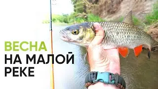 Весенний спиннинг на малой реке