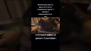 Мемасик из ТикТока!