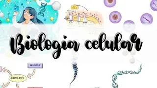 Cellular and Molecular Biology - Class 1